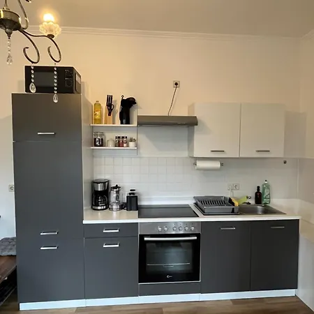 公寓 Gemuetliches Altbauapartment I 开姆尼茨